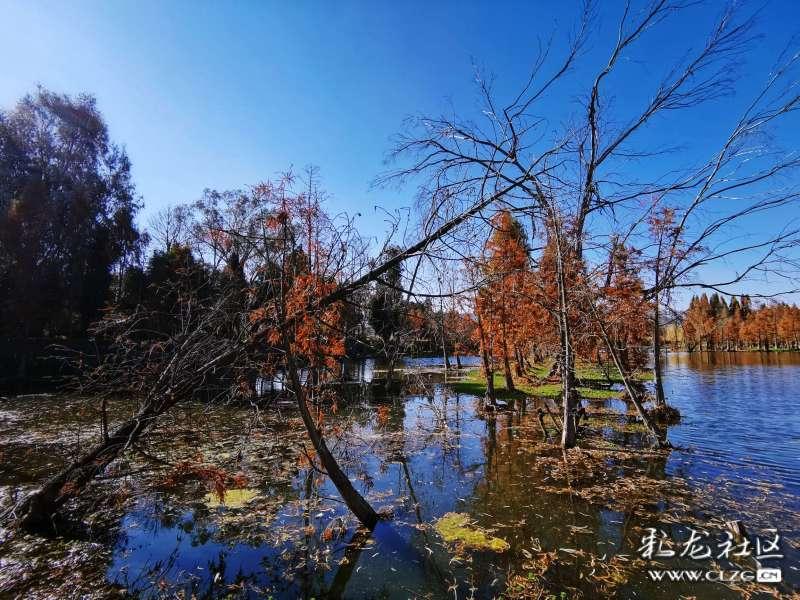女生彻底放弃你的表现都是什么?-专业问答网站,解答您的疑惑