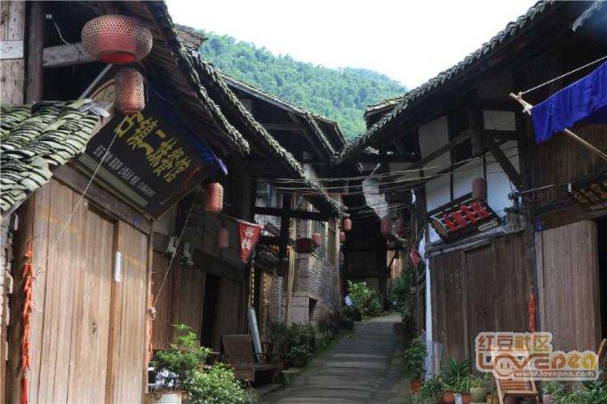 (新春走基层)新农人成“兴农人” 电商直播助浙江“年货”热销